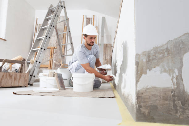 Best Ceiling Drywall Installation  in Fruita, CO