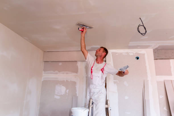 Best Drywall Finishing  in Fruita, CO