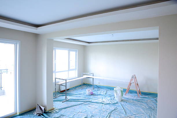 Best Repainting for Renovations  in Fruita, CO